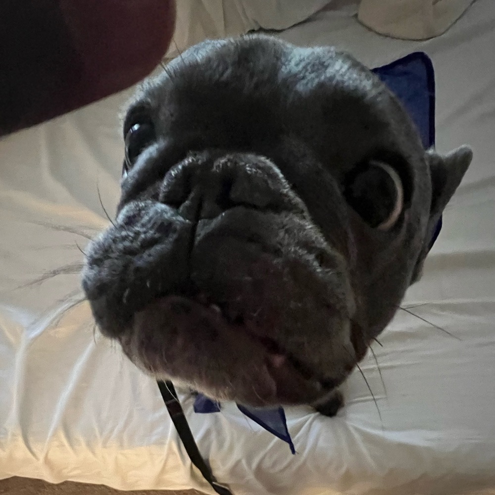 Meet your Posher, Mandy